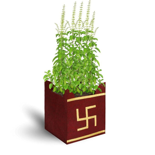 Tulsi Plant Grow Bag for Home/Gardening - Fliqbasket