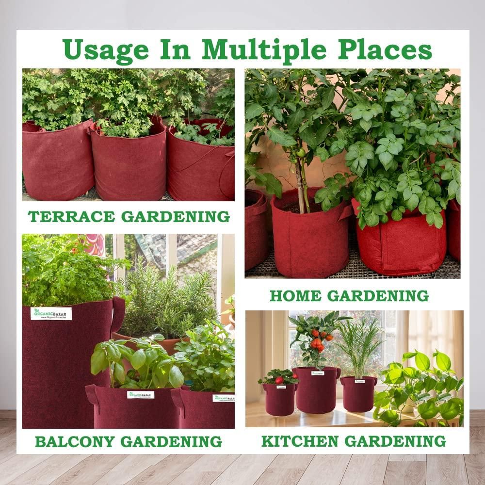 Tulsi Plant Grow Bag for Home/Gardening - Fliqbasket